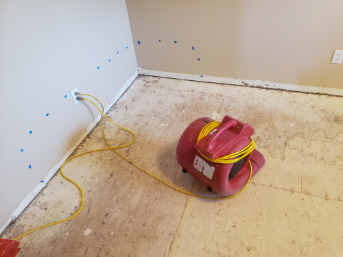 small dehumidifier for water damage