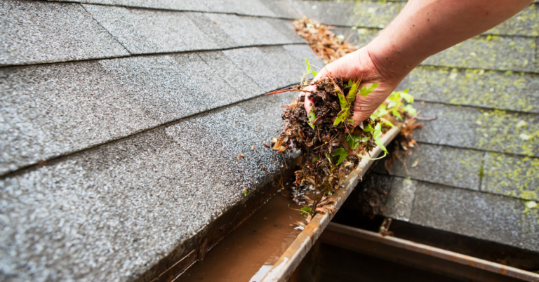 Do You Know the Importance of Cleaning Your Gutters?