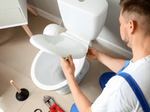 How to Replace Toilet Seat