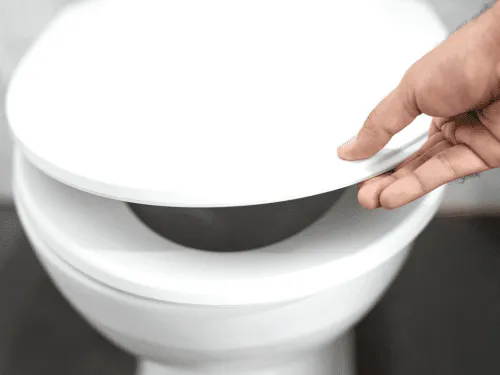 Purchase New Toilet Seat