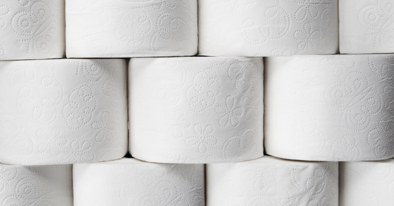 Before the Roll: A Journey Through the History of Toilet Paper