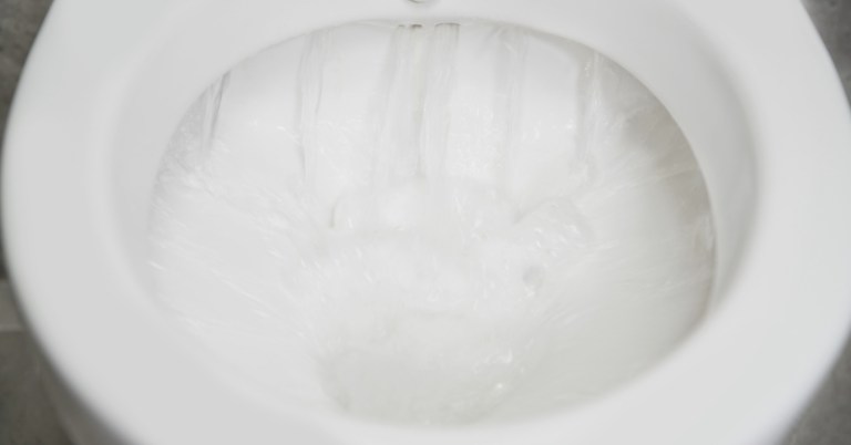 Is Your Toilet Not Flushing? Here’s 8 Reasons Why!