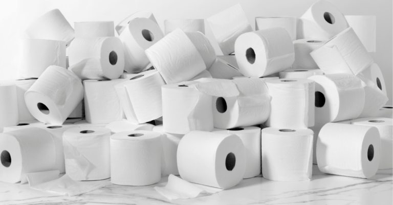 How Toilet Paper is Made: From Forest to Flush